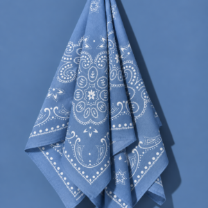 Skyline Paisley Bandana