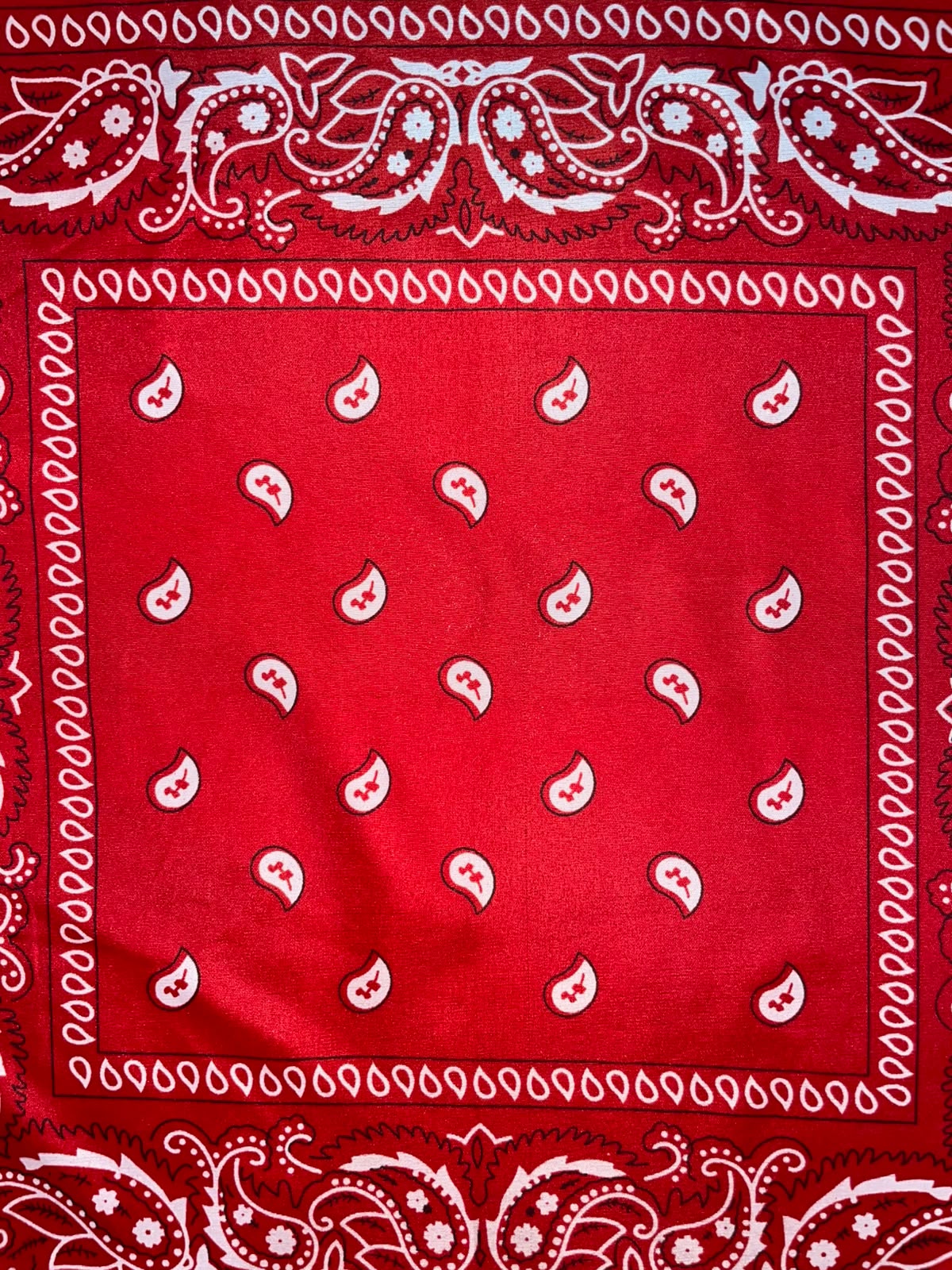 Rebel Red Bandana