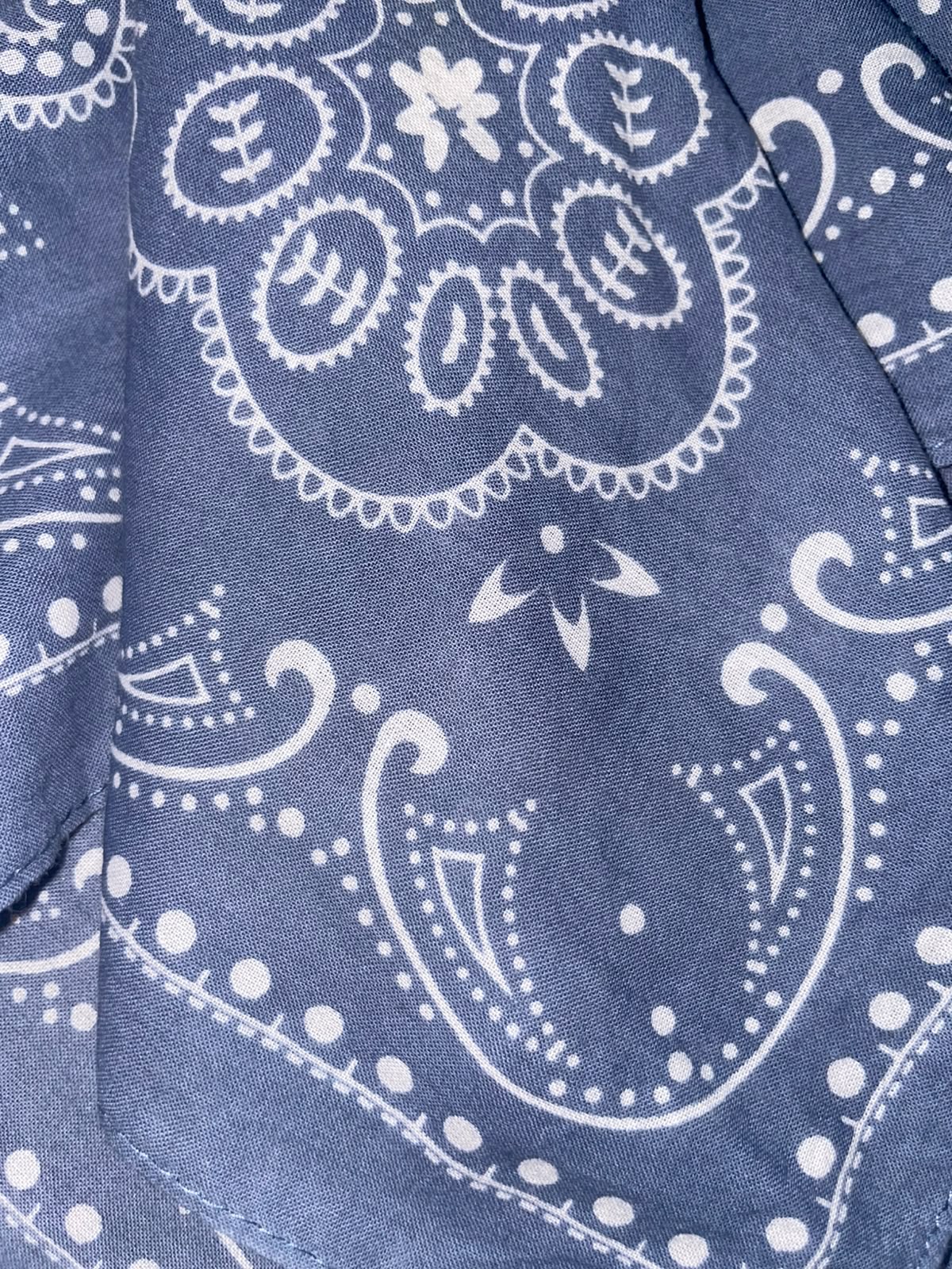 Skyline Paisley Bandana